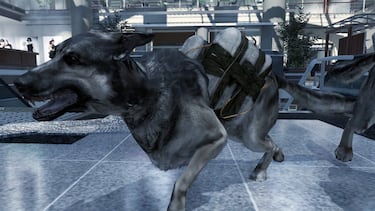 Perros bomba: una de las armas más crueles e ineficaces de la Segunda Guerra Mundial