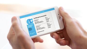 Pase Sanitaro obligatorio en Argentina: cuándo entrará en vigor y cómo obtenerlo