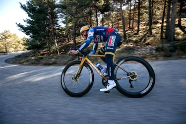 La bici especial de Evenepoel: 272 unidades, 15.000 euros...