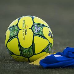 Así sería la Liguilla del Apertura 2017 según lectores de AS