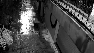 Así se vivió el sismo en Michoacán durante la madrugada de este domingo