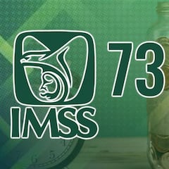 IMSS revela cómo acceder a la jubilación a los 63 años con el régimen de la Ley 73