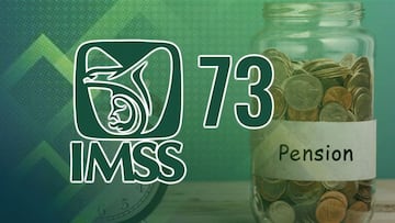 IMSS revela cómo acceder a la jubilación a los 63 años con el régimen de la Ley 73