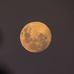 Superluna: qué es, qué tiene que ver el perigeo y en qué se diferencia de la luna llena