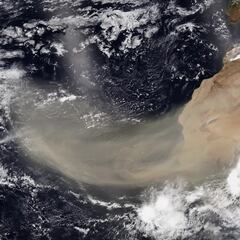 Millions could be affected by Saharan dust in U.S.: what you should know and how to protect your family