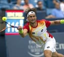 Ferrer aplasta a Benneteau y se mete en la final de Cincinatti