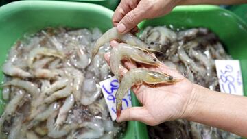 Imagen de gambas blancas congeladas, que han llegado a China con restos de coronavirus.