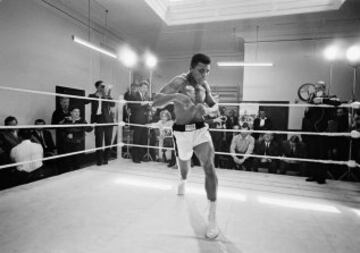 El boxeador más grande de todos los tiempos. Nacido como Cassius Clay se cambió el nombre en su conversión al islam. Los últimos años de su vida padeció parkinson.