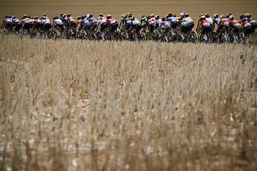 Una vez finalizado el Tour masculino, es el turno del Tour Femmes, que ayer vivió su quinta etapa, de 165,8 km, entre Chasseneuil du poitou y Guéret, en el centro de Francia. En la imagen, las corredoras pedalean, en un pelotón muy estirado, entre extensos campos de cultivo agostados por las altas temperaturas propias de esta época del año.