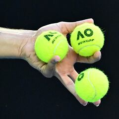¿Quién ganará el Open de Australia 2024?: Apuestas y favoritos