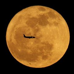 Luna de Ciervo 2024: Cómo y cuándo observarla en Estados Unidos