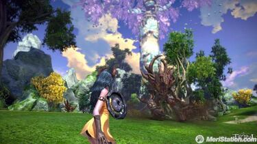 TERA, Impresiones