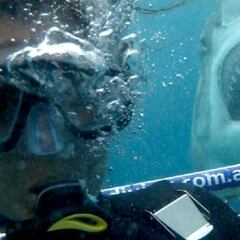 Un estudio determina que los selfies matan 5 veces más que los ataques de tiburón