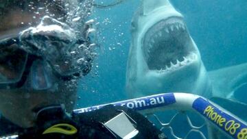 Un estudio determina que los selfies matan 5 veces más que los ataques de tiburón