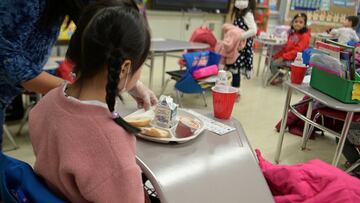 El gobernador del estado de Nueva York, Andrew Cuomo, anunció que otorgará dinero a familias de escuelas públicas para ayuda alimentaria. ¿Cuánto se otorgará?