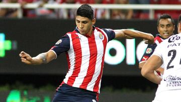 Aficionado se tat&uacute;a el nombre de Alan Pulido por llegar a Chivas