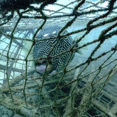 Earth Day 2024: 5 easy actions you can take to care for the planet