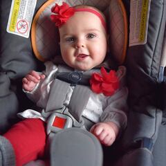 Toyota desarrolla un avanzado sistema detector de personas y mascotas en las filas traseras