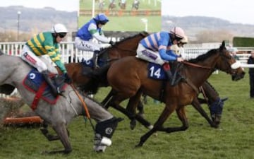 La espectacular caída de un jinete en el Festival de Cheltenham