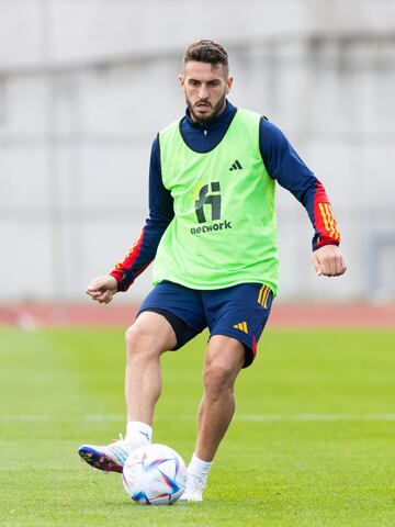 Koke.