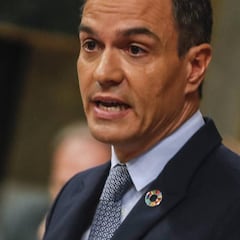 El significado del pin que lleva Pedro Sánchez en su chaqueta durante la Moción de censura