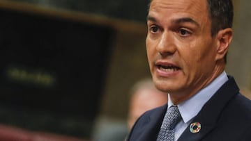 El significado del pin que lleva Pedro Sánchez en su chaqueta durante la Moción de censura