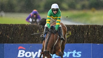 Meath , Ireland - 10 April 2023; Janidil and jockey Mark Walsh fall at the last while leading the McInerney Properties Fairyhouse Steeplechase on day three of the Fairyhouse Easter Festival at Fairyhouse Racecourse in Ratoath, Meath. (Photo By Seb Daly/Sportsfile via Getty Images)