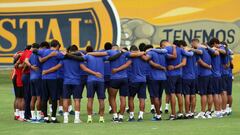 El campeón se recompone: Sporting Cristal y sus refuerzos