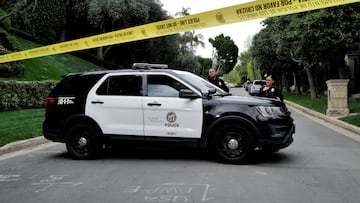 The 340-pound foster mother called 911 when, after 5 minutes of being crushed, he stopped breathing.