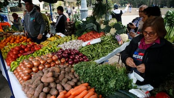 Cómo activar el Bolsillo Electrónico: qué debo saber antes de usarlo y paso a paso