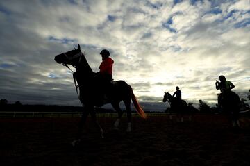 Vista general de los participantes de la 149ª edición de la carrera de caballos Belmont Stake en Elmont, Nueva York. 