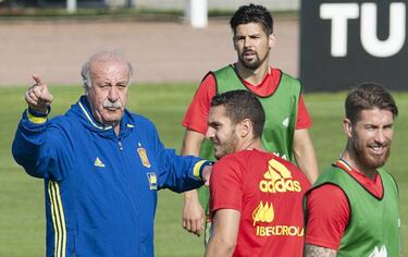 Del Bosque tries out Koke-Iniesta midfield pairing for Italy game