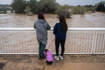 Varias personas observan la crecida del río Magre en Alfarp, Valencia