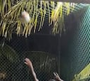 Descansar en vacaciones es de cobardes: Rodrygo se pasa al voleibol durante sus Navidades en Brasil