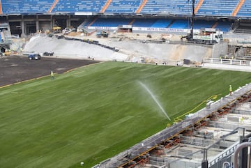 Los trabajos de remodelación del estadio del Real Madrid siguen sin pausa. A unos días del estreno los esfuerzos se centran en el terreno de juego.