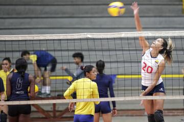 La Selección Colombia de voleibol femenina se prepara para el Preolímpico que se disputará en el Coliseo El Salitre del 6 al 9 de enero. Se enfrentará en sistema de todos contra todos a Argentina, Perú y Venezuela. 