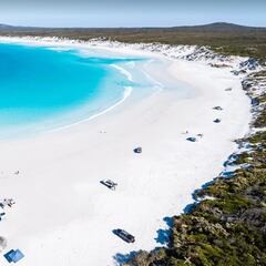 Un tiburón hace desaparecer a un surfista en Wharton Beach
