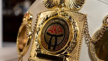 Alcobendas, sede de la 21ª edición del Open Nacional WKA/FUJIMAE