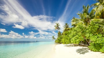 Un joven de 24 años compra una isla privada en Finlandia por 28.000 euros