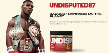 Tyson admits to smoking a joint ahead of Roy Jones fight