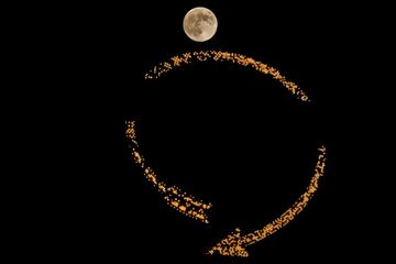 La luna se eleva tras un cartel antiguo en la cima de un edificio de apartamentos en el centro de la ciudad de Kansas City.