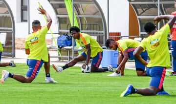 Tras la contundente victoria 3-0 a Polonia, la Selección Colombia se alista para enfrentar a Senegal, por la tercera fecha del grupo H y que definirá la clasificación a los octavos de final. Al equipo colombiano solo le sirve ganar.