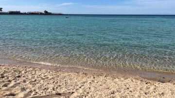 Heart-breaking story of a daughter's message in a bottle