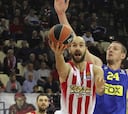 El Maccabi manda en Atenas y Brown tumba al Estrella Roja