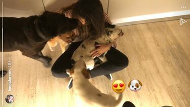 Isco y Sálamo muestran a su familia perruna, como Theo