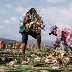 Devolución del IVA: ¿se puede acumular el cobro de la devolución?
