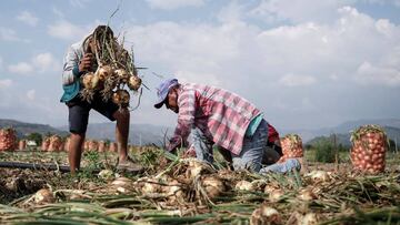 Devolución del IVA: ¿se puede acumular el cobro de la devolución?