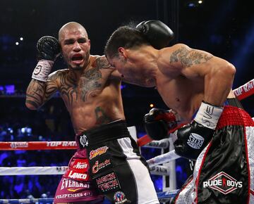 Miguel Cotto 