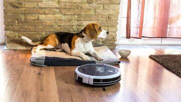 El robot aspirador Conga Excellence de Cecotec fue uno de los m¨¢s vendidos en 2017 por las facilidades que aporta
