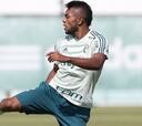 Ídolo de Palmeiras pide tener paciencia con Miguel Borja